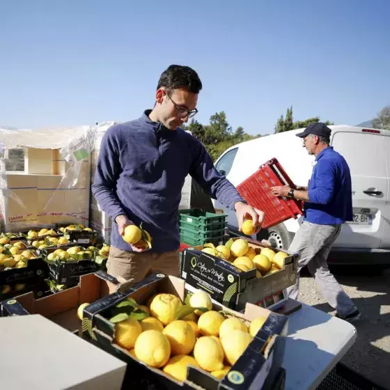Un_diplômé_lauréat_du_concours_Graine_d_Agriculteurs